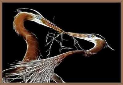 LOVE-Blue Herons.jpg